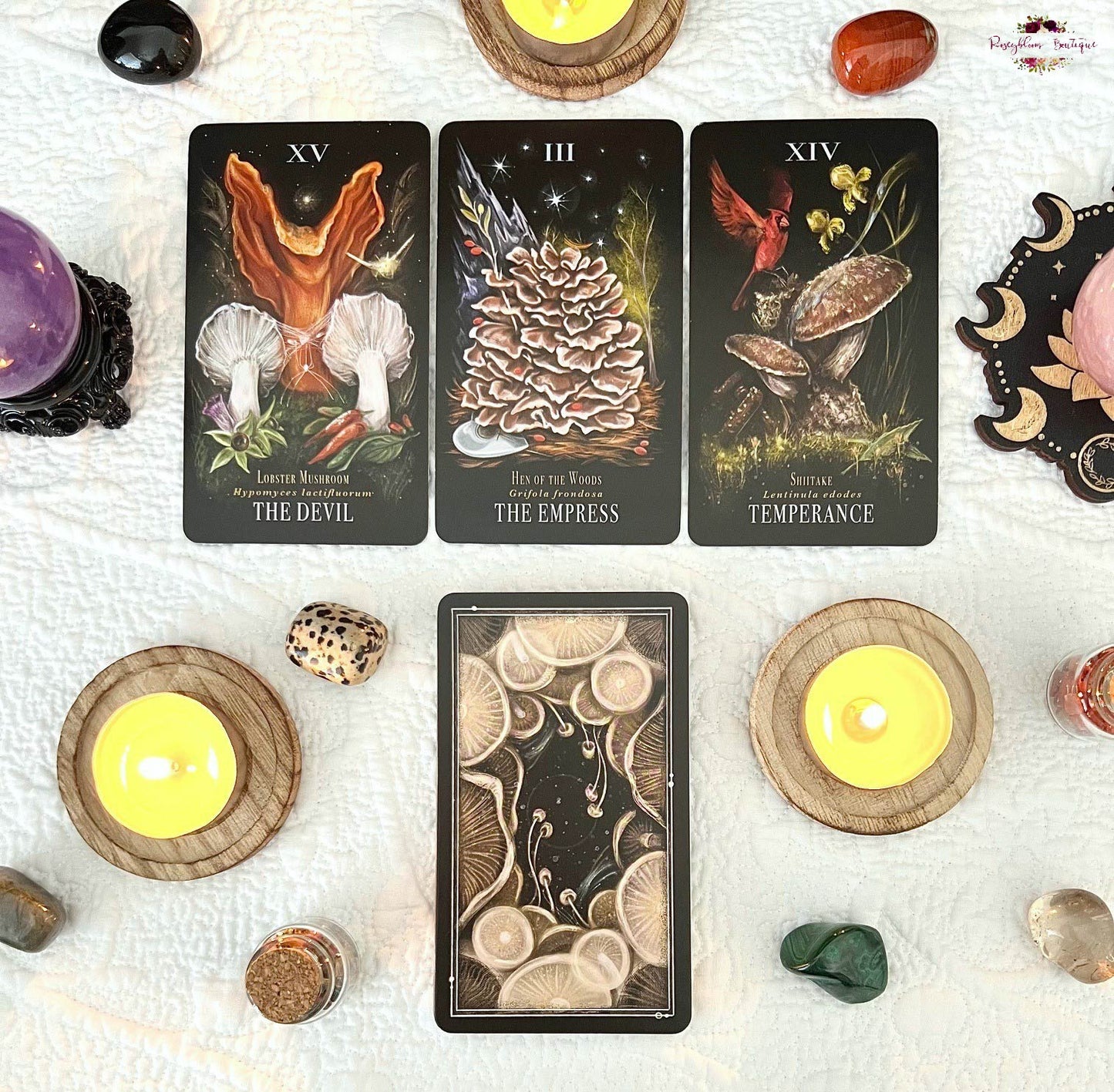 MIDNIGHT MAGIC | A Tarot Deck Of Mushrooms
