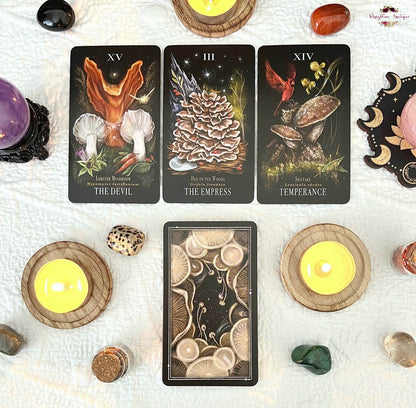 MIDNIGHT MAGIC | A Tarot Deck Of Mushrooms