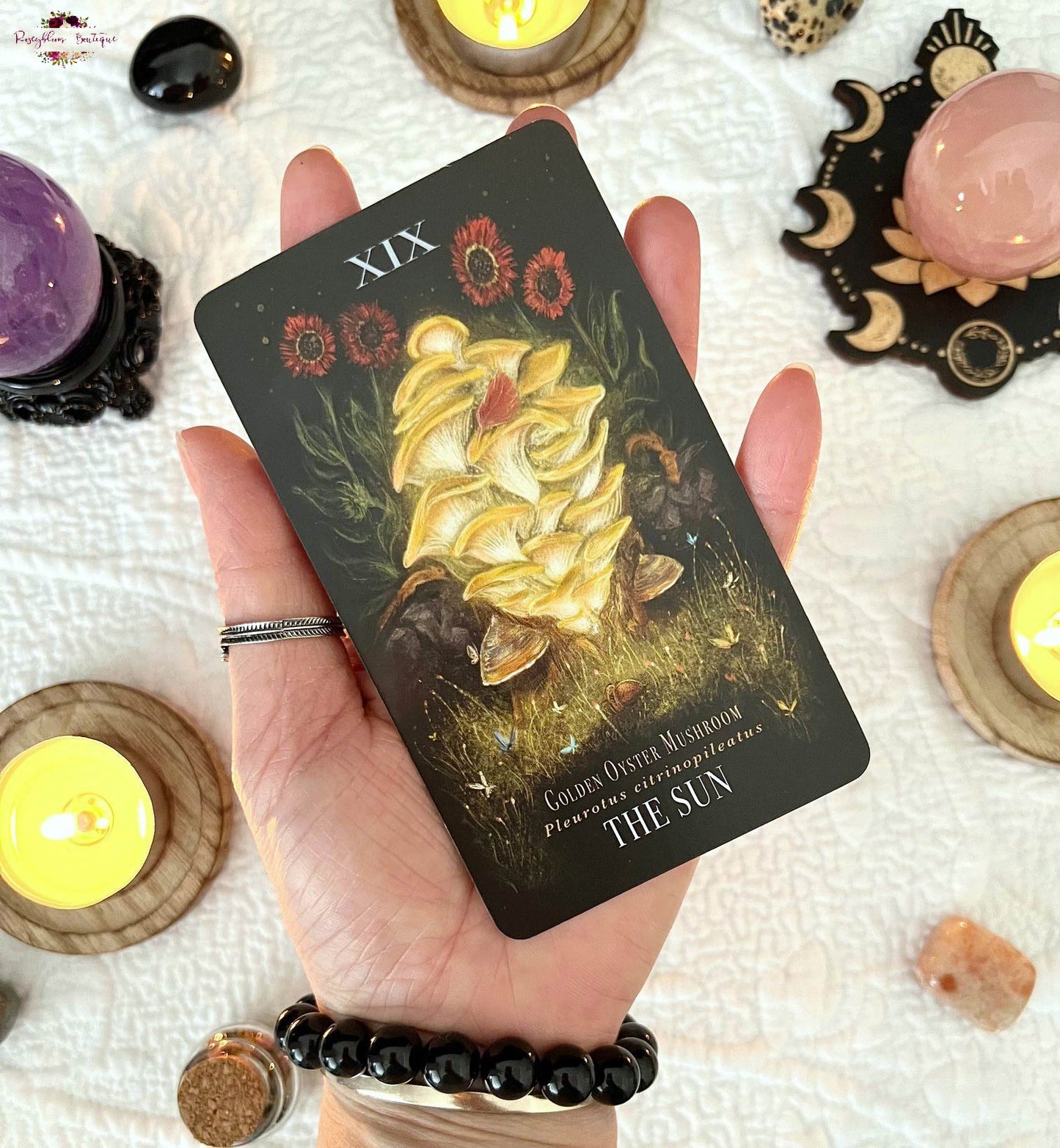 MIDNIGHT MAGIC | A Tarot Deck Of Mushrooms