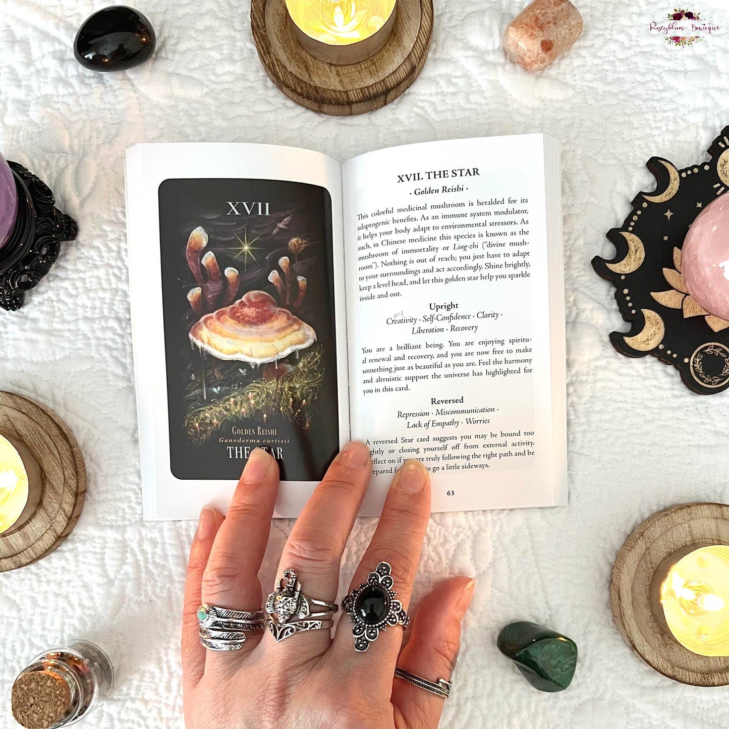 MIDNIGHT MAGIC | A Tarot Deck Of Mushrooms