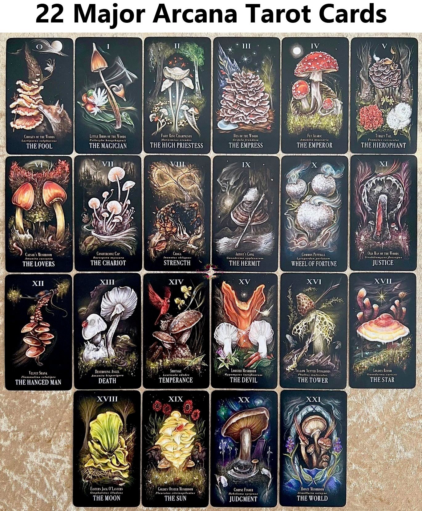 MIDNIGHT MAGIC | A Tarot Deck Of Mushrooms