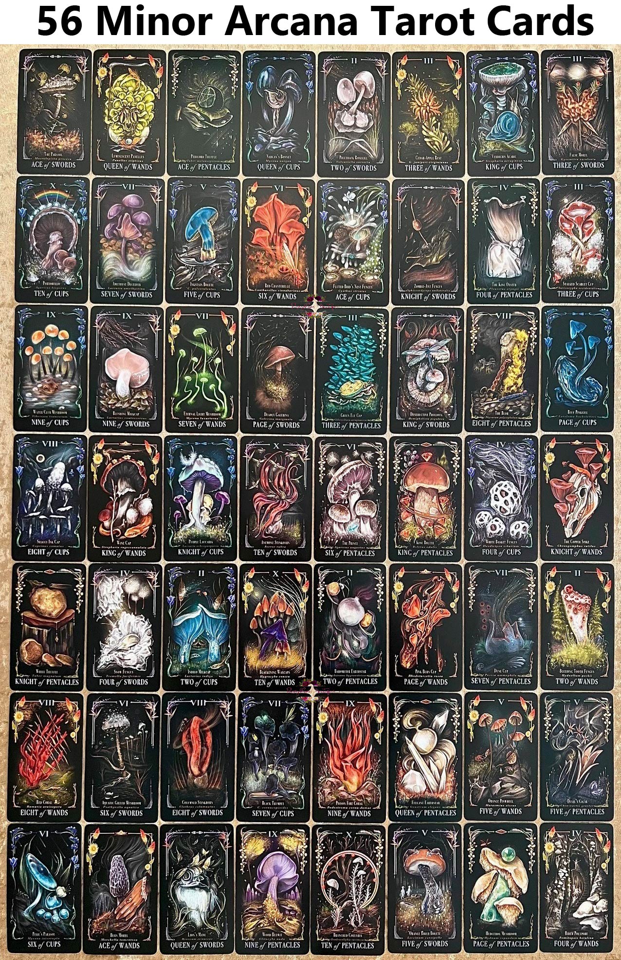 MIDNIGHT MAGIC | A Tarot Deck Of Mushrooms