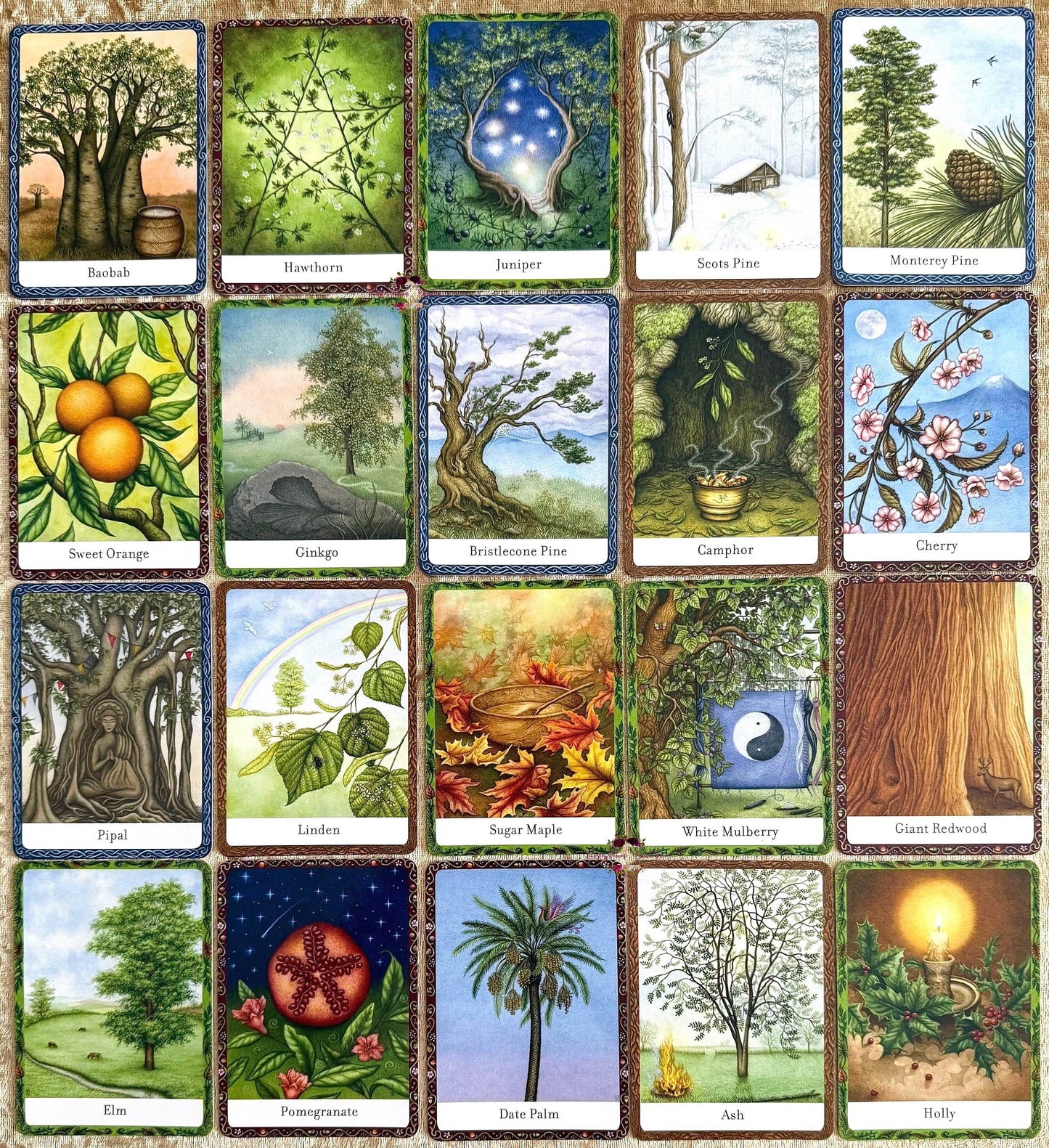 THE WISDOM OF TREES ORACLE | Inspirational Cards For Wisdom And Guidance
