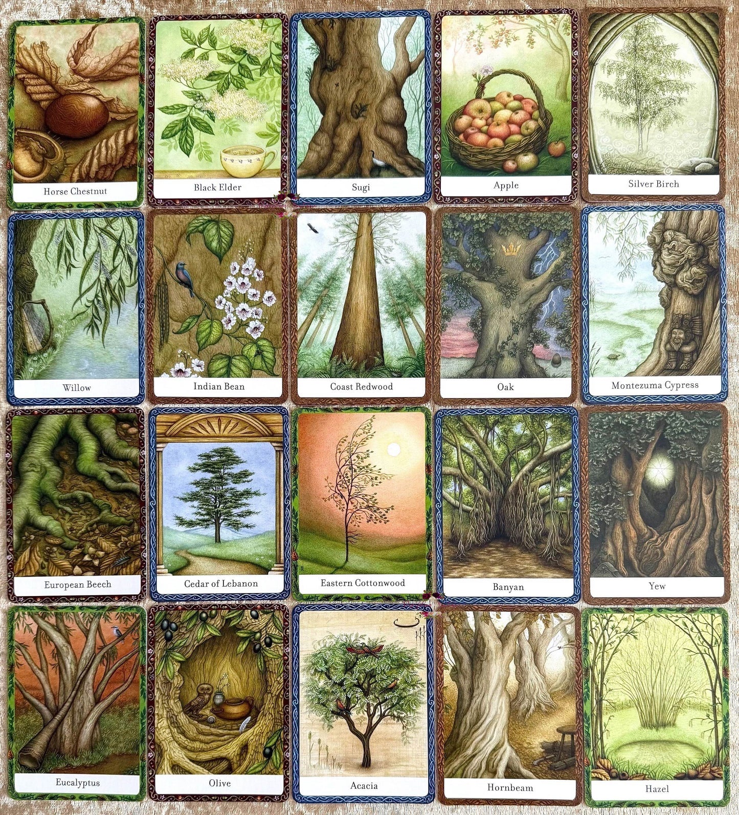 THE WISDOM OF TREES ORACLE | Inspirational Cards For Wisdom And Guidance
