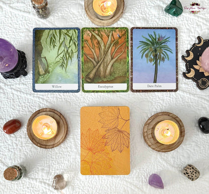THE WISDOM OF TREES ORACLE | Inspirational Cards For Wisdom And Guidance