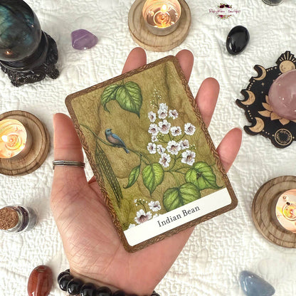 THE WISDOM OF TREES ORACLE | Inspirational Cards For Wisdom And Guidance