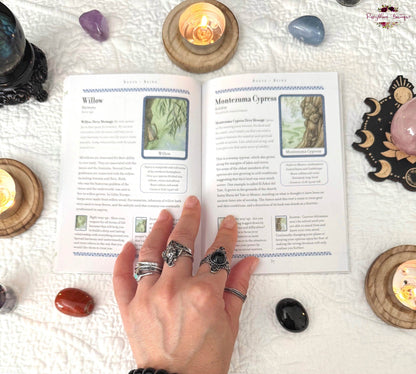 THE WISDOM OF TREES ORACLE | Inspirational Cards For Wisdom And Guidance
