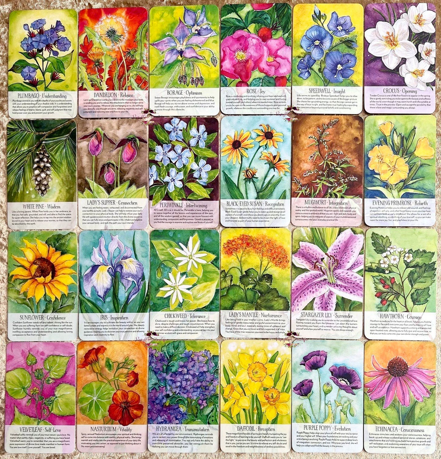 SOULFLOWER PLANT SPIRIT ORACLE