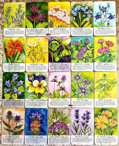 SOULFLOWER PLANT SPIRIT ORACLE