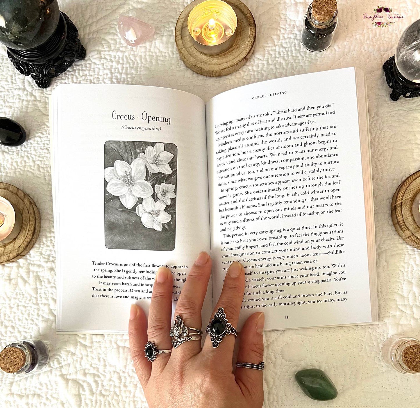 SOULFLOWER PLANT SPIRIT ORACLE
